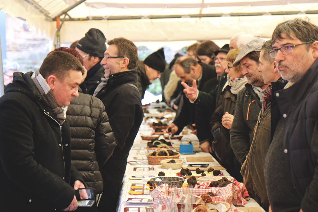 Sarlat's Truffle Market