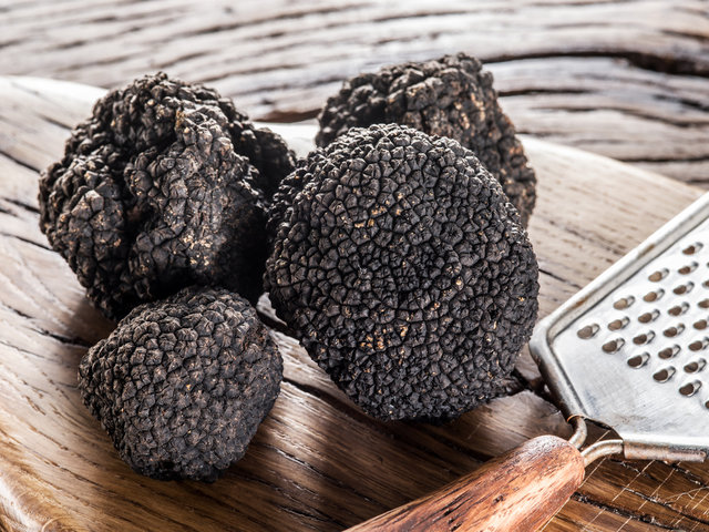 Fresh Black Perigord Truffles on a wooden board